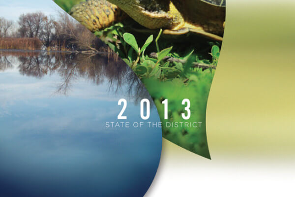 Regional Sans State of the District Report 2013